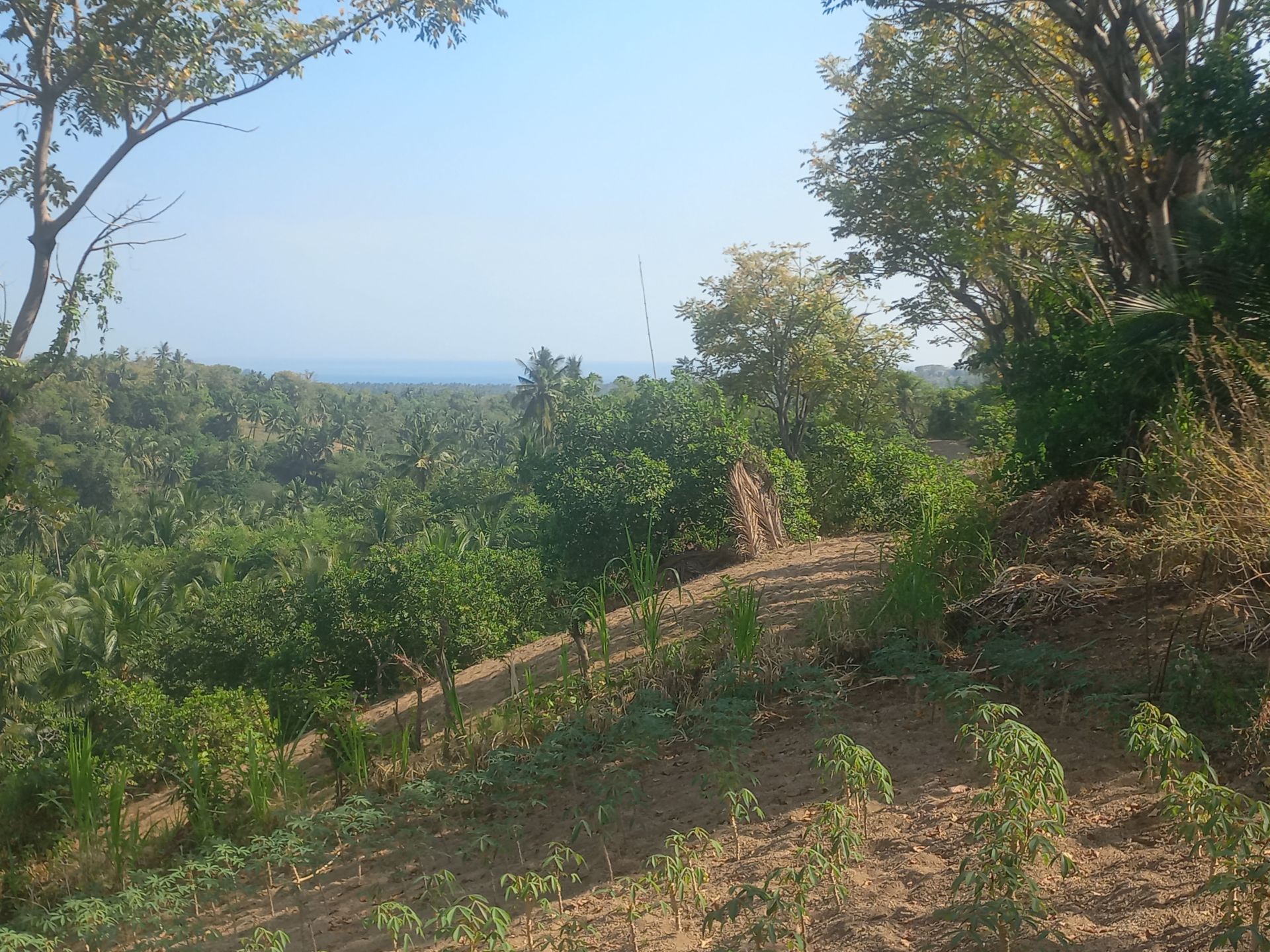 Bukit view pantai medana orong ramput lombok utara
