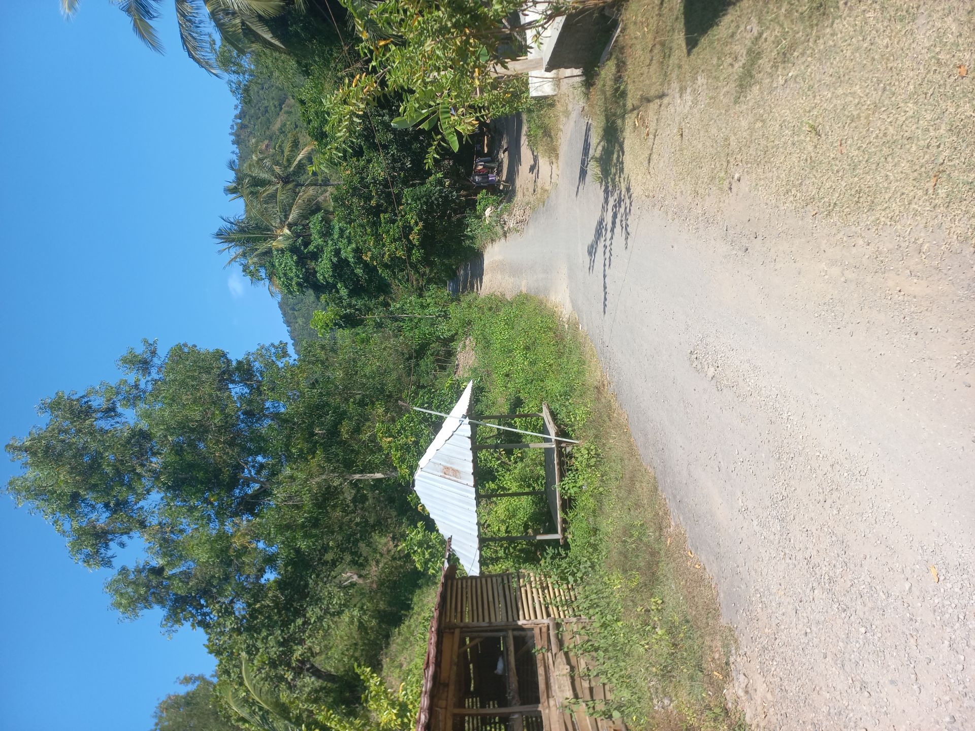 Tanah bukit teluk nare lombok utara